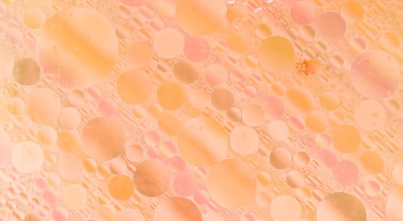 Células adiposas em cultura sob influência de mecanismos epigenéticos