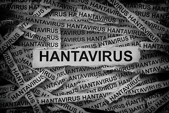 Representação gráfica de um navio de cruzeiro em alto-mar com alertas de saúde sobre hantavírus